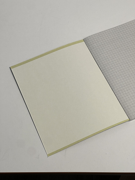 Тетрадь 48 листов, клетка, обложка мелованный картон, блок №2, зеленая