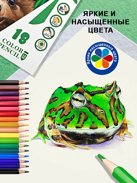 Карандаши 18 цв.  ACMELIAE пластиковые шестигранные  в картонном футляре, в термоусадке