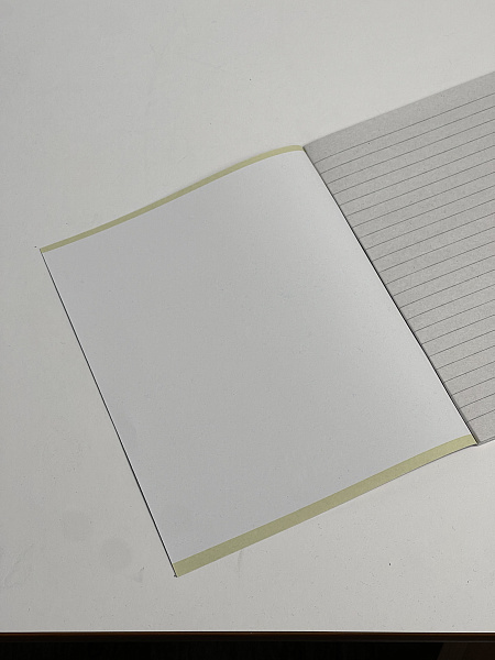 Тетрадь 36 листов, линейка, обложка мелованная бумага, блок №2, черная