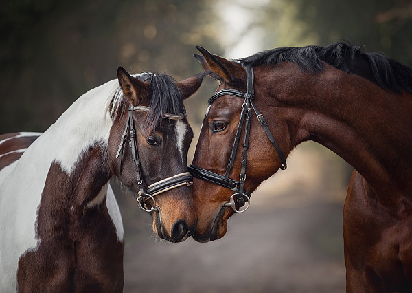 Пазл 1500 эл. "Грация любви" "ФРЕЯ"