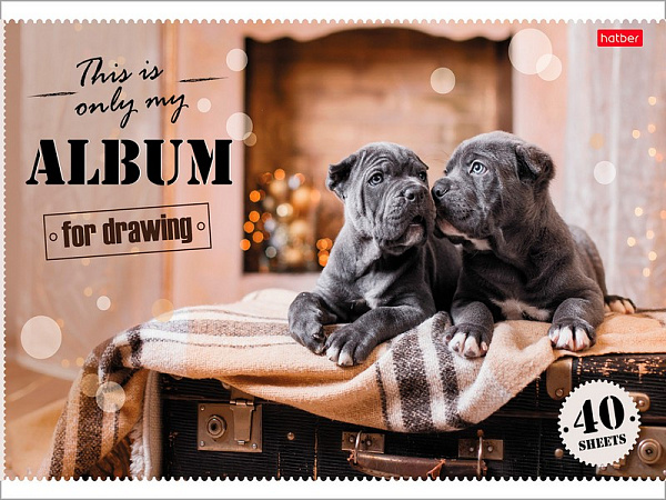 Альбом для рисования 40 листов "Ассорти"