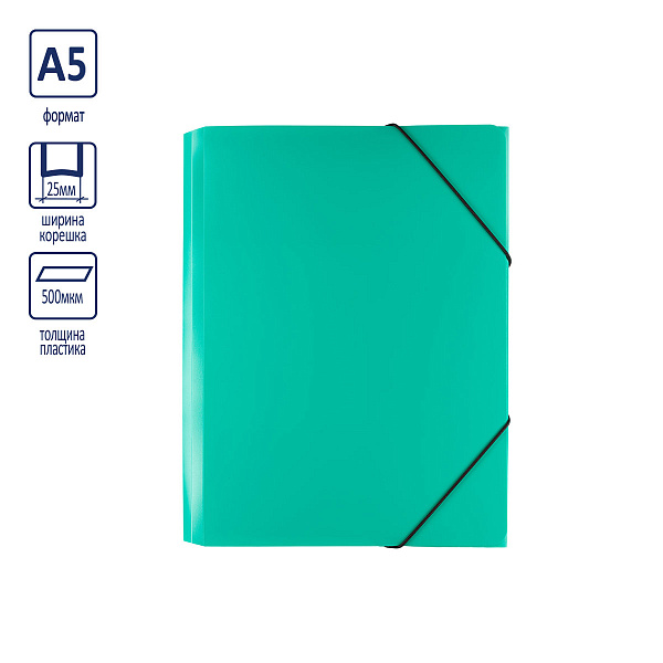 Папка на резинке А5 "Expert Complete" Classic 500 мкм 25 мм песок зеленый ЕС23444513