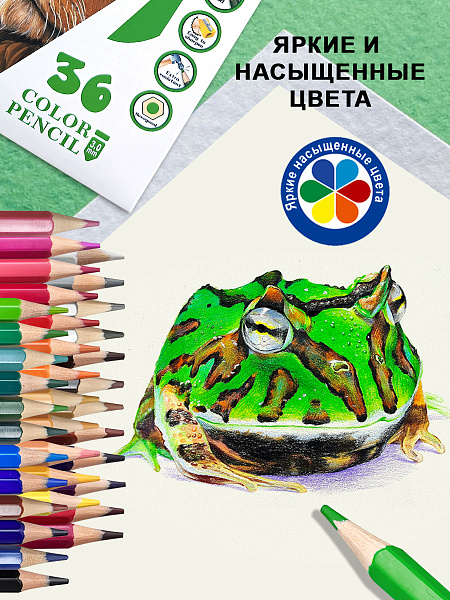 Карандаши 36 цв.  ACMELIAE пластиковые шестигранные в картонном футляре, в термоусадке