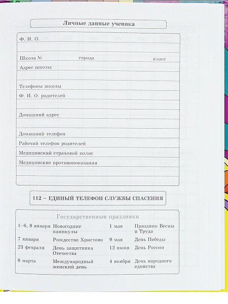 Дневник 1-11 кл. 40 л. тв.переплет "PSY ART" глянц.лам.