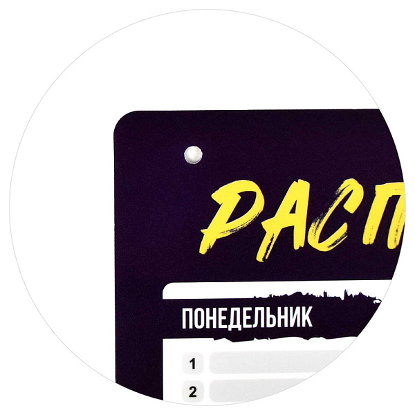 Расписание уроков А3 "МОТОЦИКЛИСТ" полноцветная печать, полипропилен/