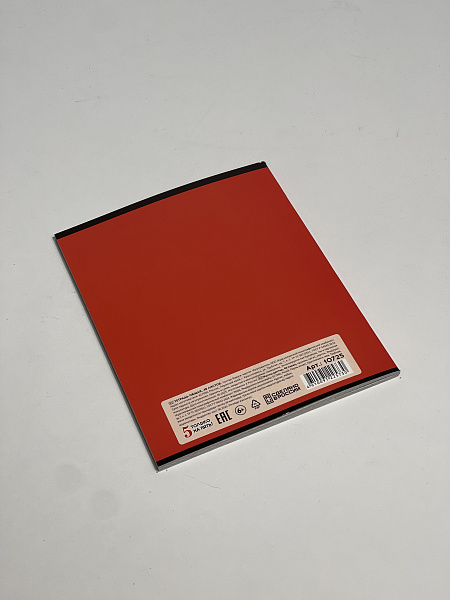 Тетрадь 48 листов, клетка, обложка мелованный картон, блок №2, красная