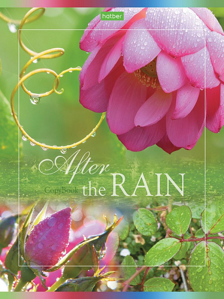 Тетрадь 80 л. кл. "После дождя" "ECO" Класс "С" 