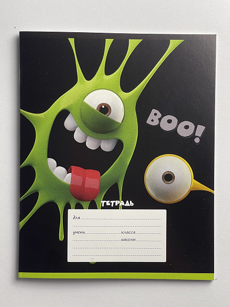 Тетрадь 12 листов в клетку обложка из мелованного картона (200г/м2), блок офсет (92%, 60г/м2), микс 5 видов