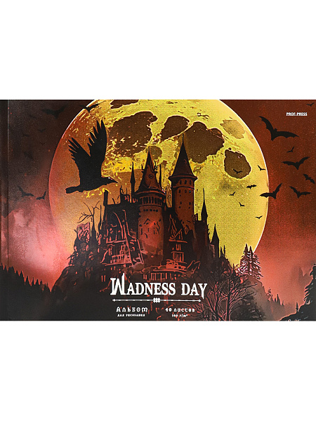 Альбом д/рис. 40 л. "WEDNESDAY MADNESS" КБС с жесткой подложкой,твин-лак,хол.фол