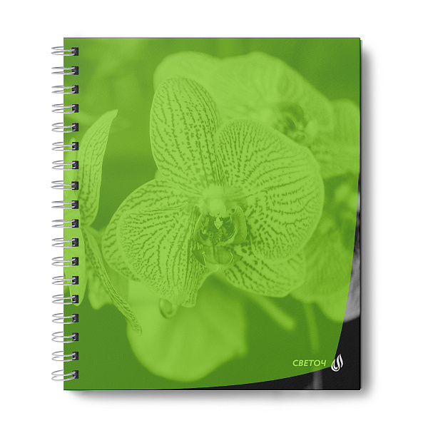 Тетрадь 48 л. кл. на гребне пластик. обложка "Тайны природы, лайм" ч/б запечат. титульн.лист, 180 мкм., A5 65 г/кв.м , белизна 100% 01546 "Светоч"