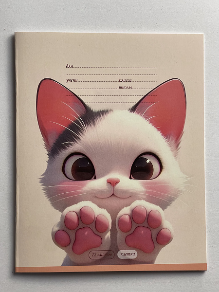 Тетрадь 12 листов в клетку обложка из мелованного картона (200г/м2), блок офсет (92%, 60г/м2), микс 5 видов