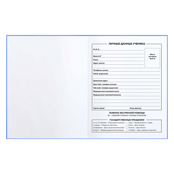 Дневник 1-11 кл. 48 л. интеграл.переплет "ЛУЧШИЕ ДРУЗЬЯ" тиснение голографической фольгой, глянцевая ламинация, печать в одну краску