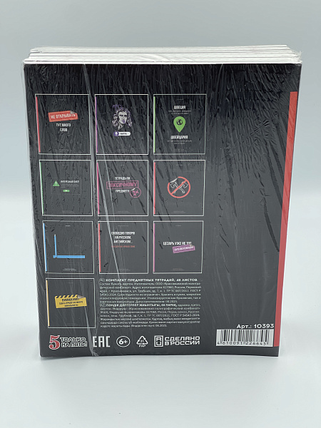 Комплект предметных тетрадей 48 листов, 10 предметов  справочный материал, обложка мелованный картон, блок офсет