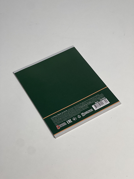 Тетрадь предметная 36 листов "Картинки"  Литература, со справочным материалом, обложка мелованная бумага, блок №2 (серые листы)