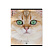 Тетрадь 96 листов в клетку "Cats", матовая ламинация  ErichKrause _MIX-PACK