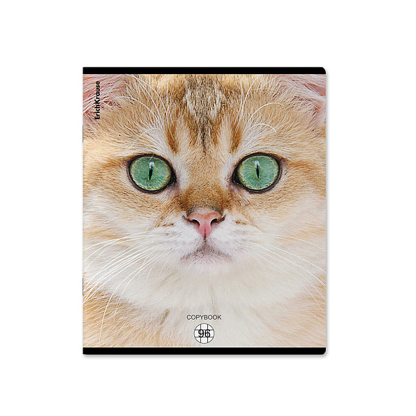 Тетрадь 96 листов в клетку "Cats", матовая ламинация  ErichKrause _MIX-PACK