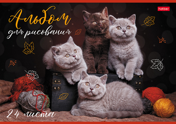 Альбом для рисования 24 листа "Кототерапия"