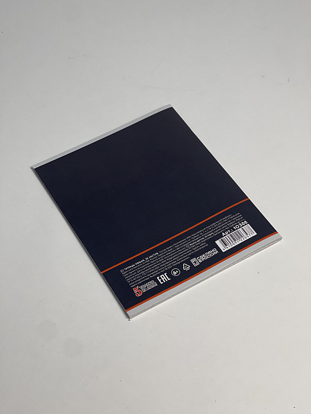 Тетрадь предметная 36 листов "Картинки" Информатика, со справочным материалом, обложка мелованная бумага, блок №2 (серые листы)