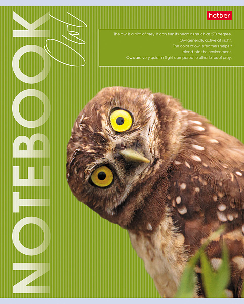 Тетрадь 80 л. кл. "Дикие и свободные" на скобе мат.ламин.