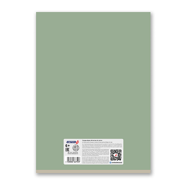 Тетрадь A4 48 л. кл. "Записки наблюдателя" на скобе 65 г/кв.м , белизна 100 %  01755 "Светоч"