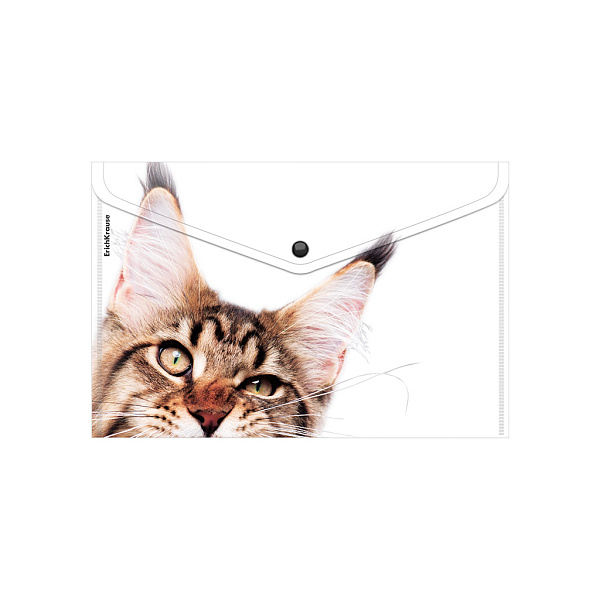 Папка-конверт на кн. А4 ErichKrause Hiding Cats, ассорти (в пакете по 12 шт.)