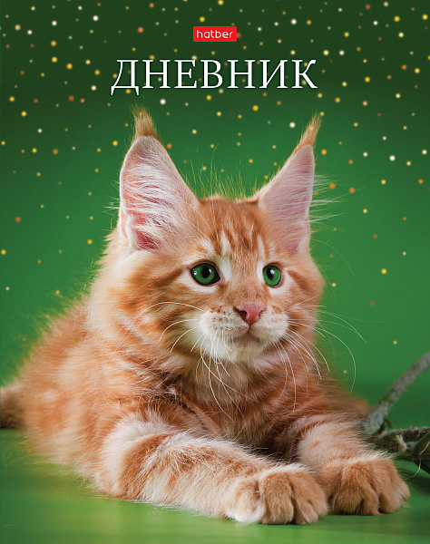 Дневник 1-11 кл. 40 л. тв.переплет "Рыжий котик" глянц. ламин.