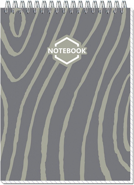 Блокнот А5 60 л. кл. на гребне Стильный офис