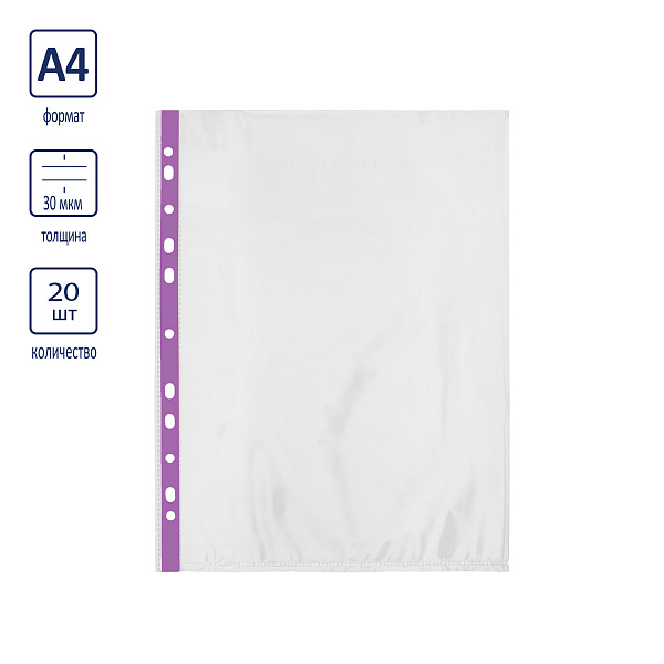 Папка-вкладыш с цв. полоской A4 20 шт. 30 мкм глянцевый фиолетовый "Expert Complete" Premier