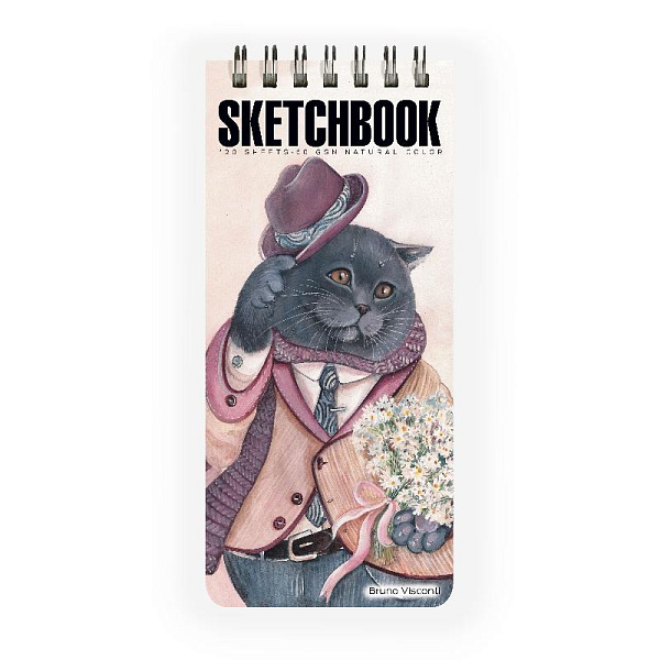 SKETCHBOOK 105х220 мм 120 л. пухлая 60 гр. на гребне (6 видов)