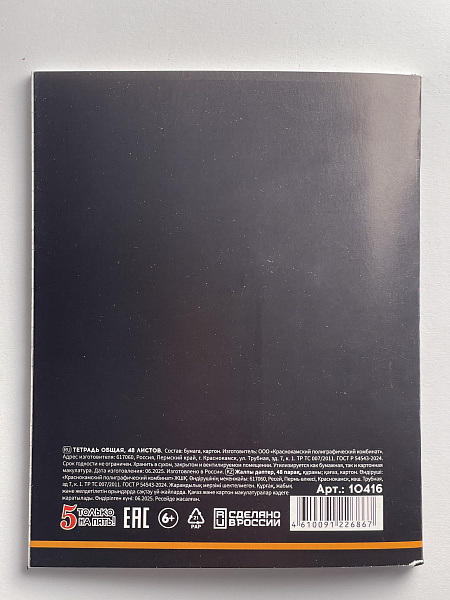 Тетрадь предметная 48 листов "Ассоциации"  Русский язык, со справочным материалом, обложка мелованный картон, блок офсет