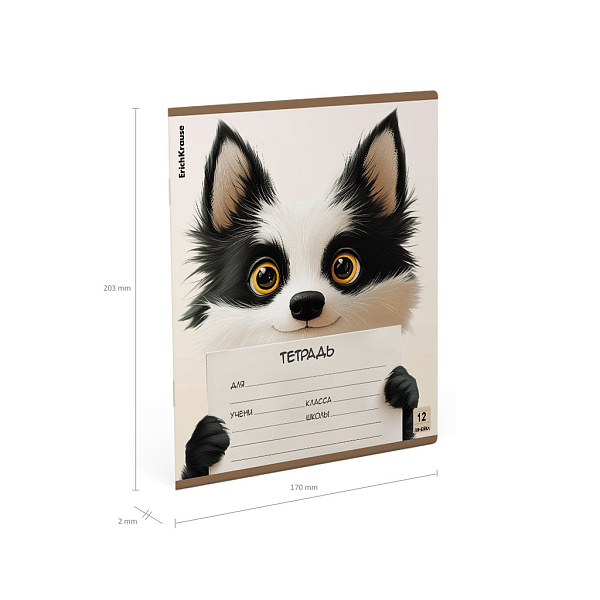 Тетрадь 12 листов в линию ErichKrause Note Friends, (в плёнке )_MIX-PACK