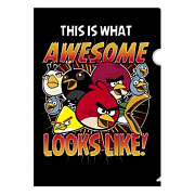 Папка-уголок "ANGRY BIRDS" Hatber А4 Пластик