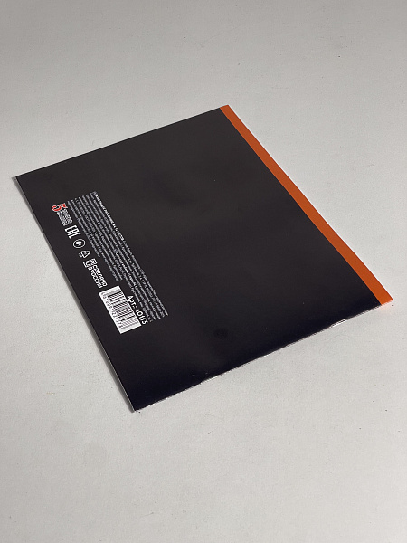 Альбом для рисования А4, 12 листов, на скрепке, обложка мелованная бумага 120г/м, блок офсет 100г/м