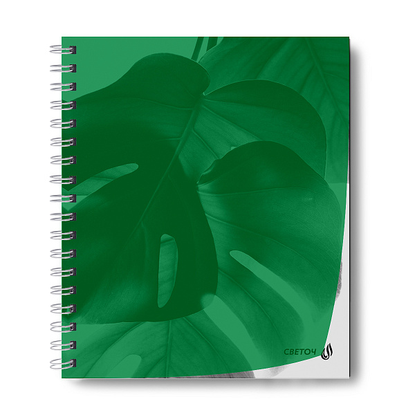 Тетрадь 48 л. кл. на гребне пластик. обложка "Утренний пейзаж, зелёная" ч/б запечат. титульн.лист, 180 мкм., A5 65 г/кв.м , белизна 100%. 01548 "Светоч"