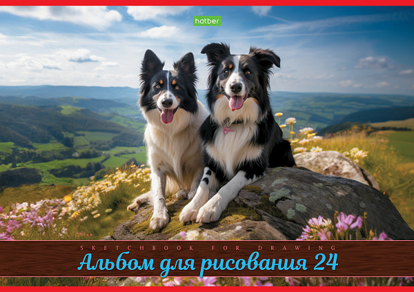 Альбом для рисования 24 листа "Ассорти- Выпуск №4" на скобе "ECO"