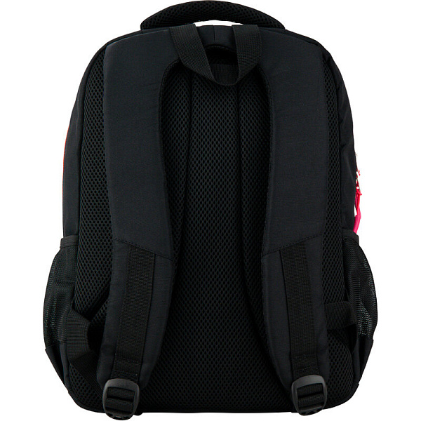 Рюкзак GoPack Education 113-3 Bright day