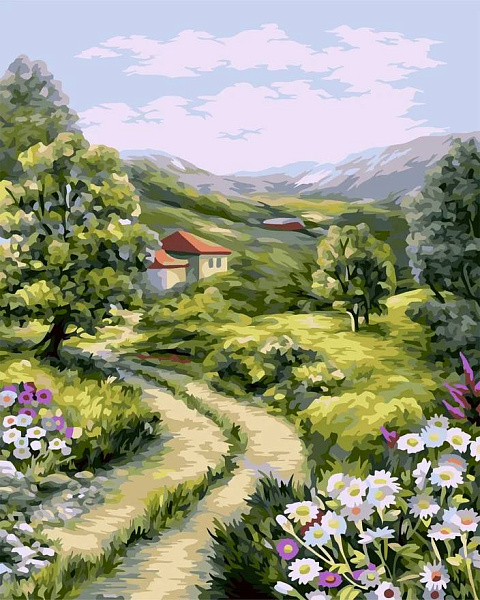 Картина по номерам 40*50 "Сельские тропы"