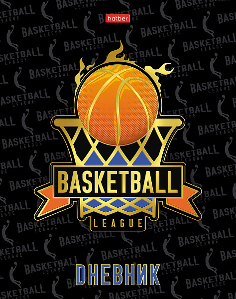 Дневник 1-11 кл. 40 л. тв.переплет "Basketball" мат.ламин. 3D фольга 3D лак