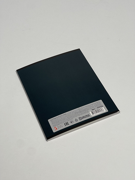 Тетрадь 48 листов, линейка, обложка мелованный картон, блок №2, зеленая