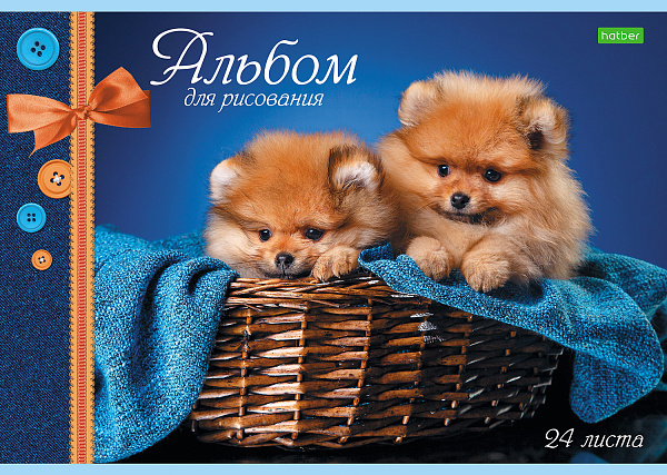 Альбом для рисования 24 листа "Ассорти" "ECO"