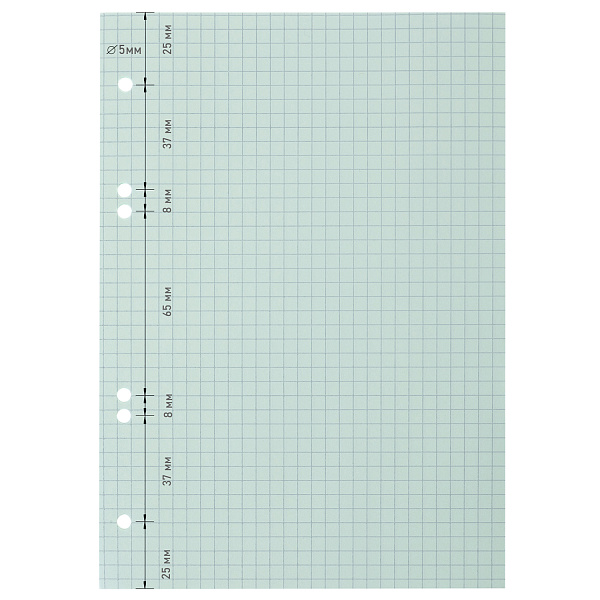 Сменный блок 50 л. А5 Нежно-зеленый-LAGOON ля тетрадей на кольцах цветной тониров.блок Универсальная перфорация  6 отверстий в индив.упак. 