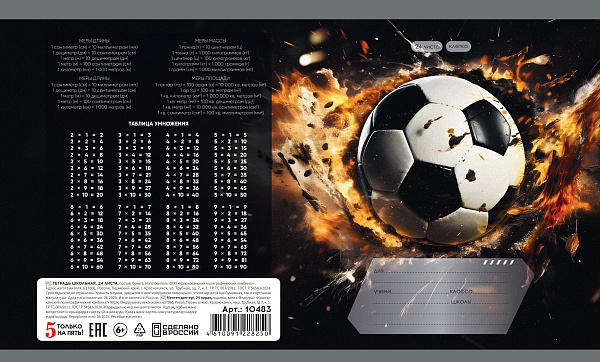 Тетрадь 24 листа в клетку "Футбол" обложка из мелованной бумаги(115 г/м²) блок офсет 60 г/м², 92%, микс 5 вид