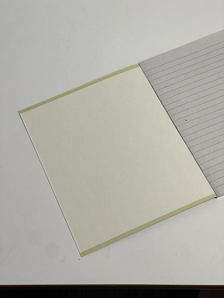 Тетрадь 48 листов, линейка, обложка мелованный картон, блок №2, зеленая