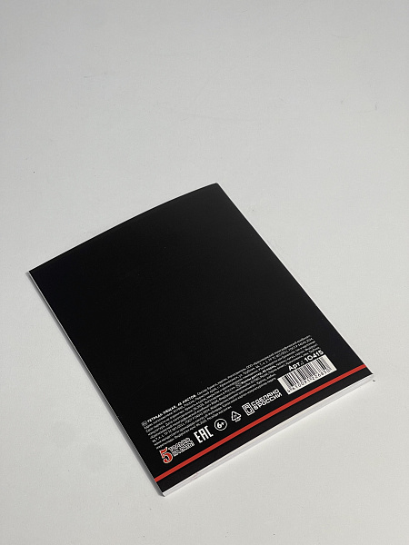 Тетрадь предметная 48 листов "Ассоциации"  Литература, со справочным материалом, обложка мелованный картон, блок офсет