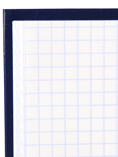 Книга учета 160 л. кл. СИНЯЯ, переплёт 7БЦ, глянц.ламин., блок-офсет, 200х298