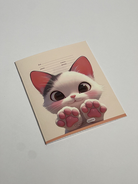 Тетрадь 12 листов в клетку обложка из мелованного картона (200г/м2), блок офсет (92%, 60г/м2), микс 5 видов