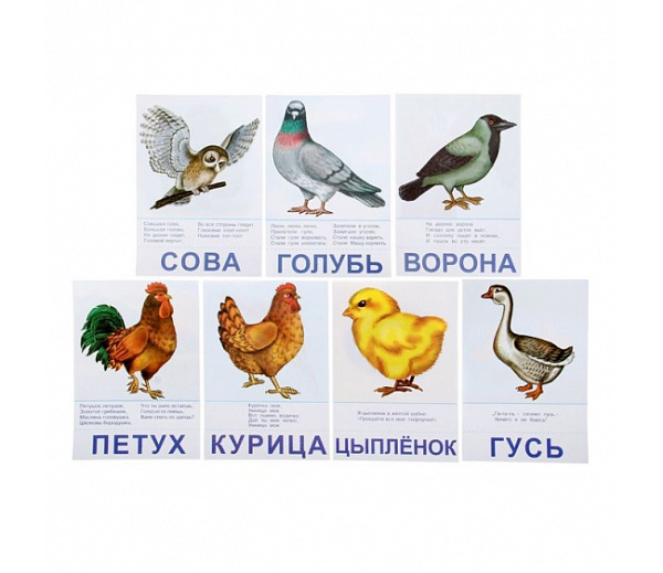 Игра настольная 7 в 1 Самым маленьким "Птицы, насекомые" 3+