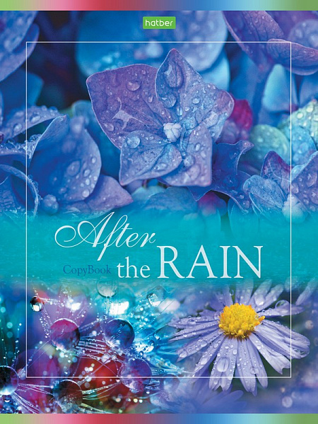 Тетрадь 80 л. кл. "После дождя" "ECO" Класс "С" 