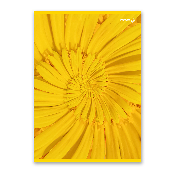 Тетрадь А4 96 л. кл. "Солнечная" выборочный лак, на скобе 65 г/кв.м , белизна 100 % 01356 "Светоч"