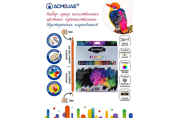 Набор для рисования ACMELIAE 24 двусторонних карандаша + точилка, в картонном футляре